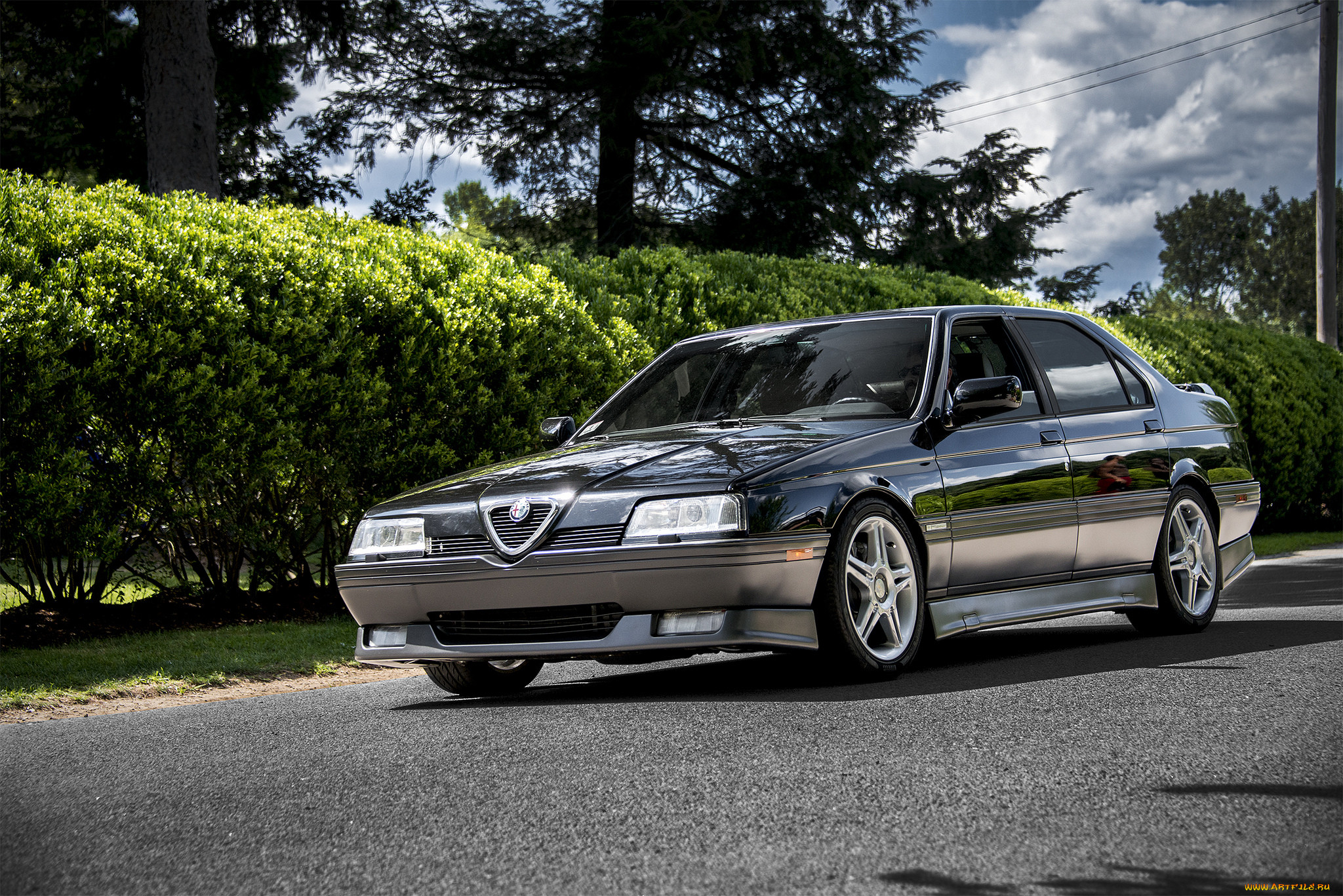 alfa romeo 164, , alfa romeo, , , 